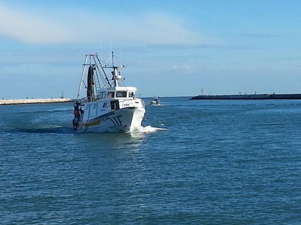 Appartamento Frontemare Azzurra กาออร์เล ห้อง รูปภาพ